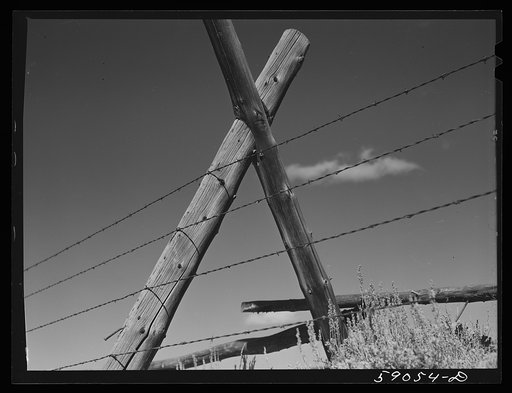 Fence posts and barbed wire around pasture and grazing lands. Near Granby, Colorado