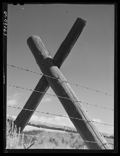 Untitled photo, possibly related to: Fence posts and barbed wire around pasture and grazing lands. Near Granby, Colorado