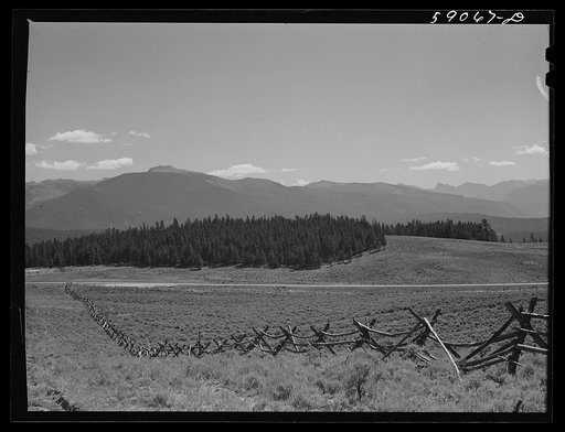 Rail fence around pasture and grazing lands. Near Granby, Colorado