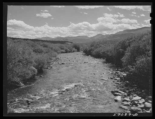 Fishing stream near Leadville, Colorado