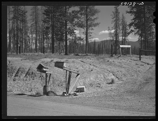 Mailboxes and road near Granby, Colorado