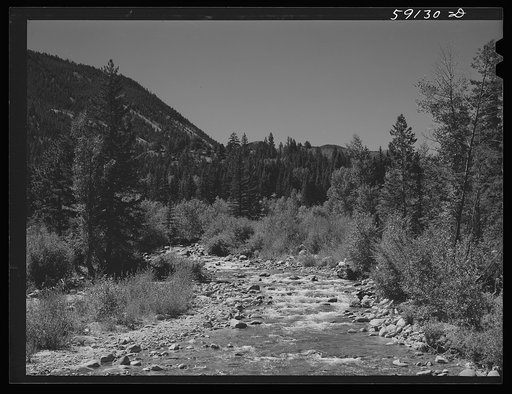 Fishing stream. Fraser, Colorado