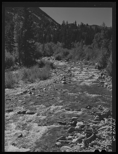 Untitled photo, possibly related to: Fishing stream. Fraser, Colorado