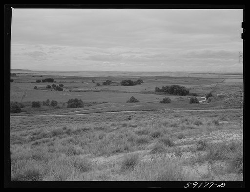 Wyoming Hereford ranch near Cheyenne, Wyoming