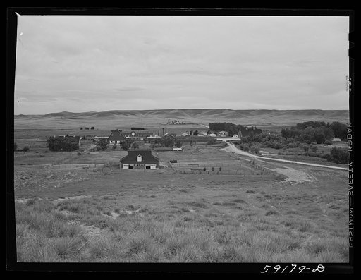 Wyoming Hereford ranch near Cheyenne, Wyoming