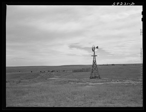 Windmill and cattle nearby for water. Ranch buildings in the background. Near Laramie, Wyoming