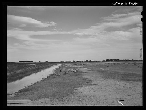 Untitled photo, possibly related to: FSA (Farm Security Administration) project family's home. Scottsbluff, North Platte River Valley, Nebraska