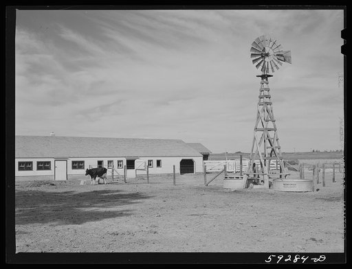 New dairy barn. FSA (Farm Security Administration) cooperative enterprise on the Scottsbluff Farmsteads FSA project. North Platte River Valley, Nebraska