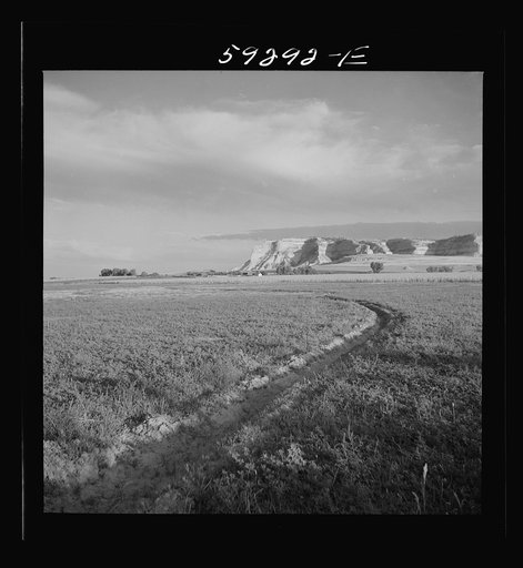 Untitled photo, possibly related to: Irrigation ditch through alfalfa field. Scottsbluff in the background. North Platte River Valley, Nebraska