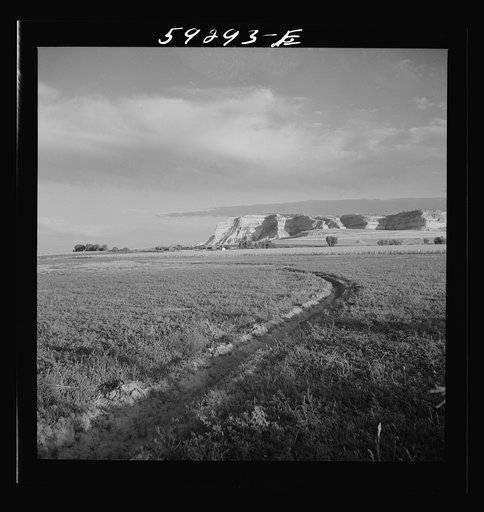 Irrigation ditch through alfalfa field. Scottsbluff in the background. North Platte River Valley, Nebraska