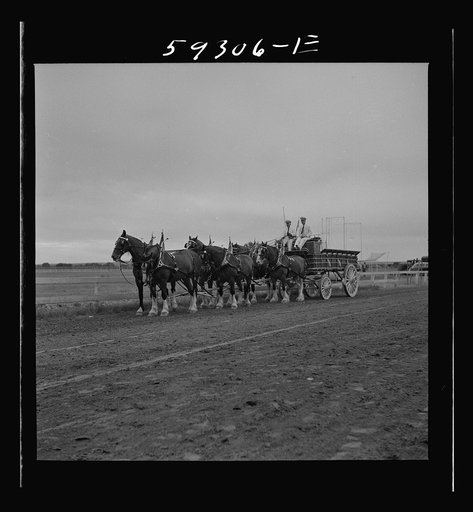 Untitled photo, possibly related to: Anheuser Busch team at county fair. Mitchell, Nebraska