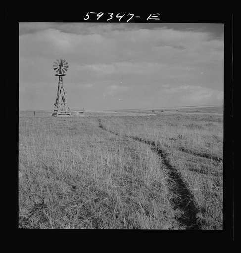 Untitled photo, possibly related to: Cattle paths to water hole by windmill on grazing land near Scottsbluff, Nebraska. North Platte River Valley