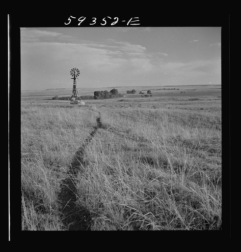 Untitled photo, possibly related to: Cattle paths to water hole by windmill on grazing land near Scottsbluff, Nebraska. North Platte River Valley