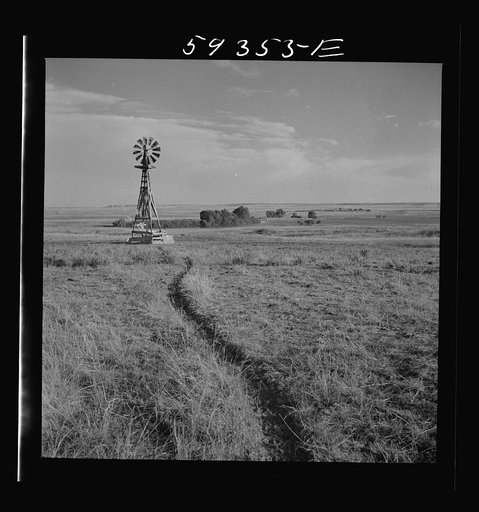 Cattle paths to water hole by windmill on grazing land near Scottsbluff, Nebraska. North Platte River Valley