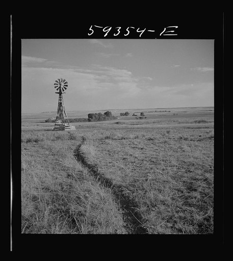 Untitled photo, possibly related to: Cattle paths to water hole by windmill on grazing land near Scottsbluff, Nebraska. North Platte River Valley