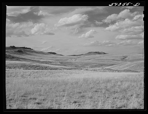 Grazing land and grass on King ranch. Laramie, Wyoming
