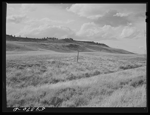 Grazing land and grass on King ranch. Laramie, Wyoming