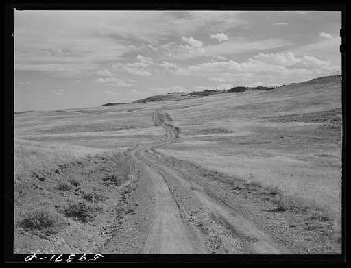 Grazing land and grass on King ranch. Laramie, Wyoming