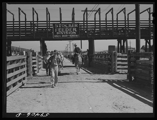 Stockyards. Denver, Colorado