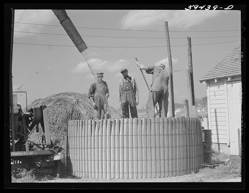 Untitled photo, possibly related to: Members of the co-op filling a member's silo with corn. Two River Non-Stock Cooperative, FSA (Farm Security Administration) co-op. Waterloo, Nebraska