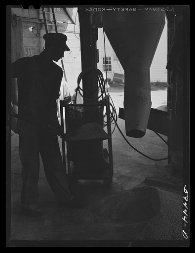 Untitled photo, possibly related to: Harvey Renninger, in charge of purchasing and marketing enterprise, grinding feed in the mill. Two Rivers Non-Stock Cooperative, a FSA (Farm Security Administration) co-op. Waterloo, Nebraska