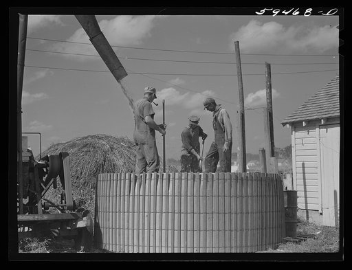 Members of the co-op filling a member's silo with corn. Two River Non-Stock Cooperative, FSA (Farm Security Administration) co-op. Waterloo, Nebraska