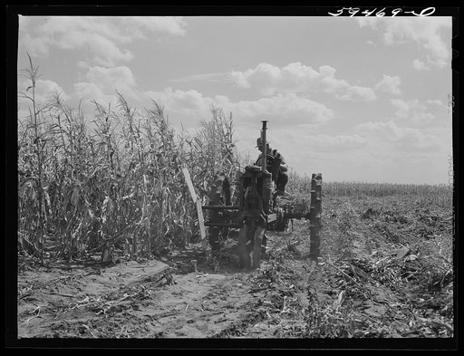 John Nelson, Member of FSA (Farm Security Administration) co-op, operating corn binder in harvesting. Two River Non-Stock Cooperative. Waterloo, Nebraska
