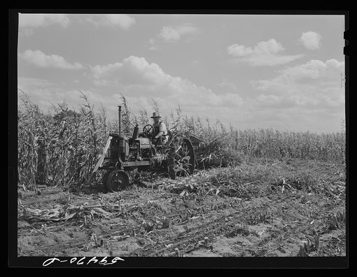 John Nelson, Member of FSA (Farm Security Administration) co-op, operating corn binder in harvesting. Two River Non-Stock Cooperative. Waterloo, Nebraska
