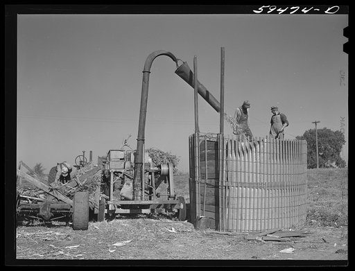 Members of the co-op filling a member's silo with corn. Two River Non-Stock Cooperative, FSA (Farm Security Administration) co-op. Waterloo, Nebraska
