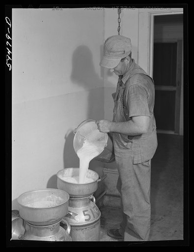 Don Shinaut, in charge of dairy enterprise, pouring milk into cans at Two River Non-Stock Cooperative, Waterloo, Nebraska. This is a FSA (Farm Security Administration) coop (see 59454-D)