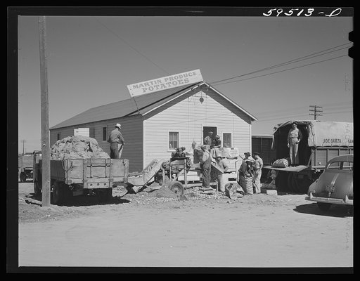 Untitled photo, possibly related to: Truckloads of potatoes in front of sorting, grading, and bagging sheds. From here they are shipped to all parts of the country. Gilcrest, Colorado