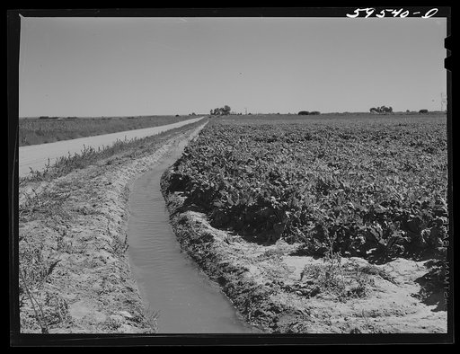 Irrigation ditch around field of sugar beets near Mitchell, Nebraska