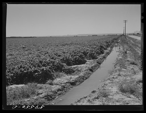 Untitled photo, possibly related to: Irrigation ditch around field of sugar beets near Mitchell, Nebraska