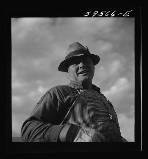 Untitled photo, possibly related to: Frank E. Hagemeister, treasurer of the cooperative association on Scottsbluff Farmsteads, FSA (Farm Security Administration) project. He has been here since 1937. He came from the land use area around Crawford, Nebraska, an extremely dry section with no irrigatio