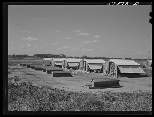 Untitled photo, possibly related to: Poultry houses and barn on Two Rivers Non-Stock Cooperative, a FSA (Farm Security Administration) co-op. Waterloo, Nebraska