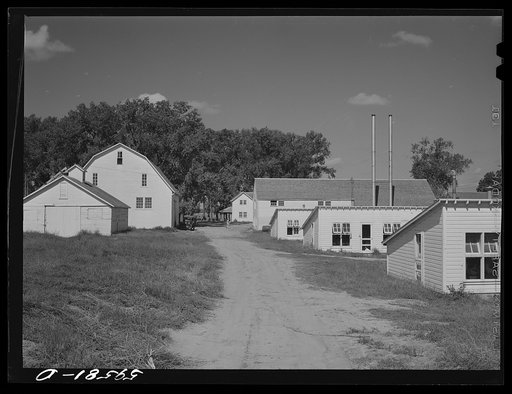 Poultry houses and barn on Two Rivers Non-Stock Cooperative, a FSA (Farm Security Administration) co-op. Waterloo, Nebraska
