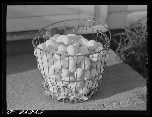 Eggs of Two Rivers Non-Stock Cooperative, a FSA (Farn Security Administration) co-op. Waterloo, Nebraska. At the present time co-op eggs are marketed through large cafes, restaurants and eating houses various hospitals and institutions. The demand for the co-op's premium eggs is in excess of supply