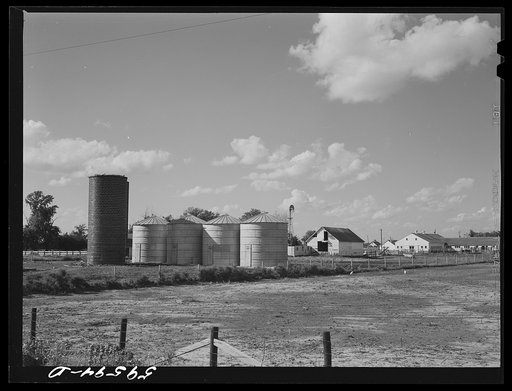 Silo and grain storage bins by dairy barn. Two River Non-Stock Cooperative, a FSA (Farm Security Administration) co-op. Waterloo, Nebraska