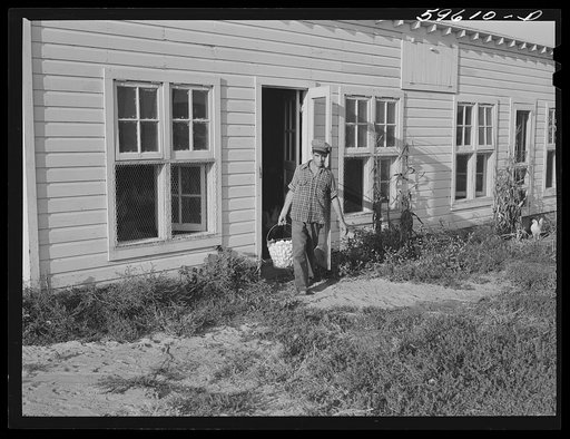 Arnold Sobers, poultry helper, with baskets of eggs outside poultry house. Two Rivers Non-Stock Cooperative, Waterloo, Nebraska. Eggs are marketed through large cafes, restaurants, and eating houses, various hospitals and institutions in Omaha. The demand for co-op premium eggs is in excess of suppl