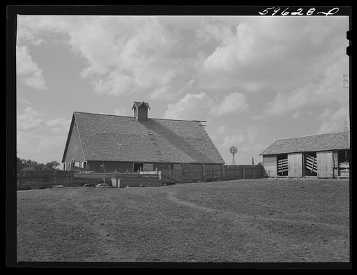 Barn and feeding pens and troughs on Tom Reed farm. Lexington, Nebraska