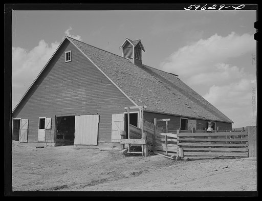 Barn and feeding pens and troughs on Tom Reed farm. Lexington, Nebraska
