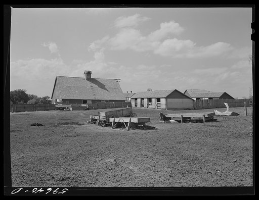 Untitled photo, possibly related to: Barn and feeding pens and troughs on Tom Reed farm. Lexington, Nebraska