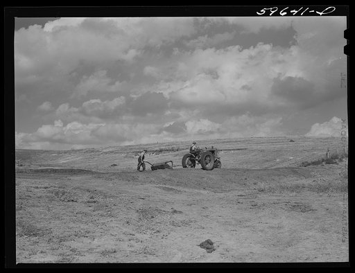Hired help building a dam for a reservoir to water cattle and livestock on Tom Reed farm. Lexington, Nebraska