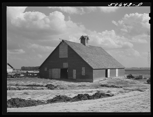 Untitled photo, possibly related to: Barn and feeding pens and troughs on Tom Reed farm. Lexington, Nebraska