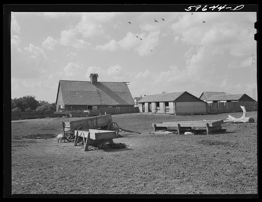 Barn and feeding pens and troughs on Tom Reed farm. Lexington, Nebraska