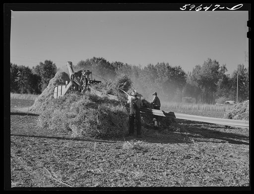 Untitled photo, possibly related to: Threshing beans in the North Platte River Valley, Nebraska