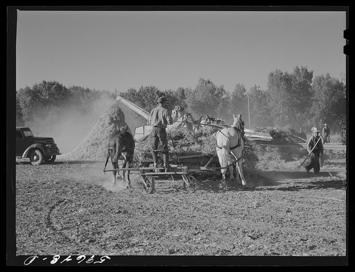 Threshing beans in the North Platte River Valley, Nebraska