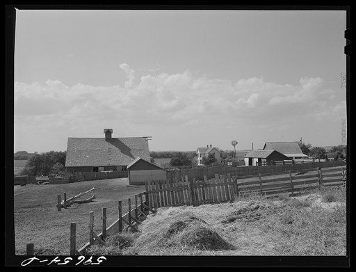 Barn and feeding pens and troughs on Tom Reed farm. Lexington, Nebraska