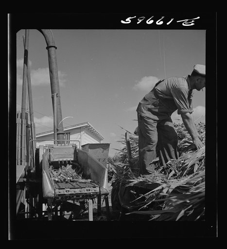 Untitled photo, possibly related to: Co-op members filling a home-made silo with corn. Two Rivers Non-Stock Cooperative Company. Waterloo, Nebraska