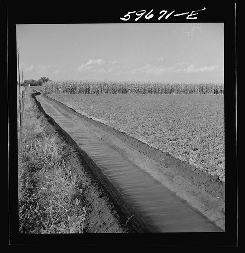 Irrigation ditch going through alfalfa, and cornfield. Two Rivers Non-Stock Cooperative Company, FSA (Farm Security Administration) cooperative. Waterloo, Nebraska